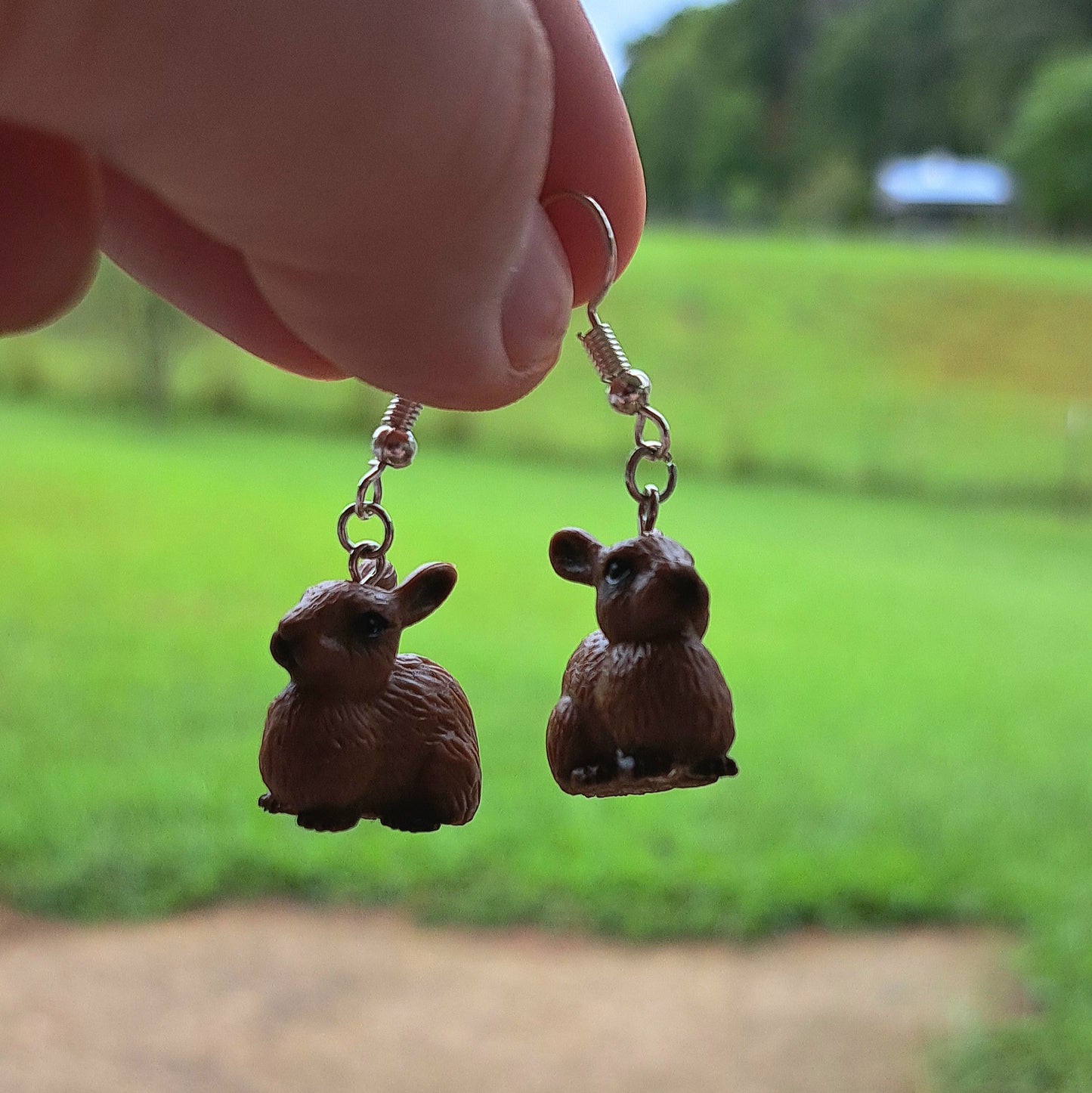 Farm earrings